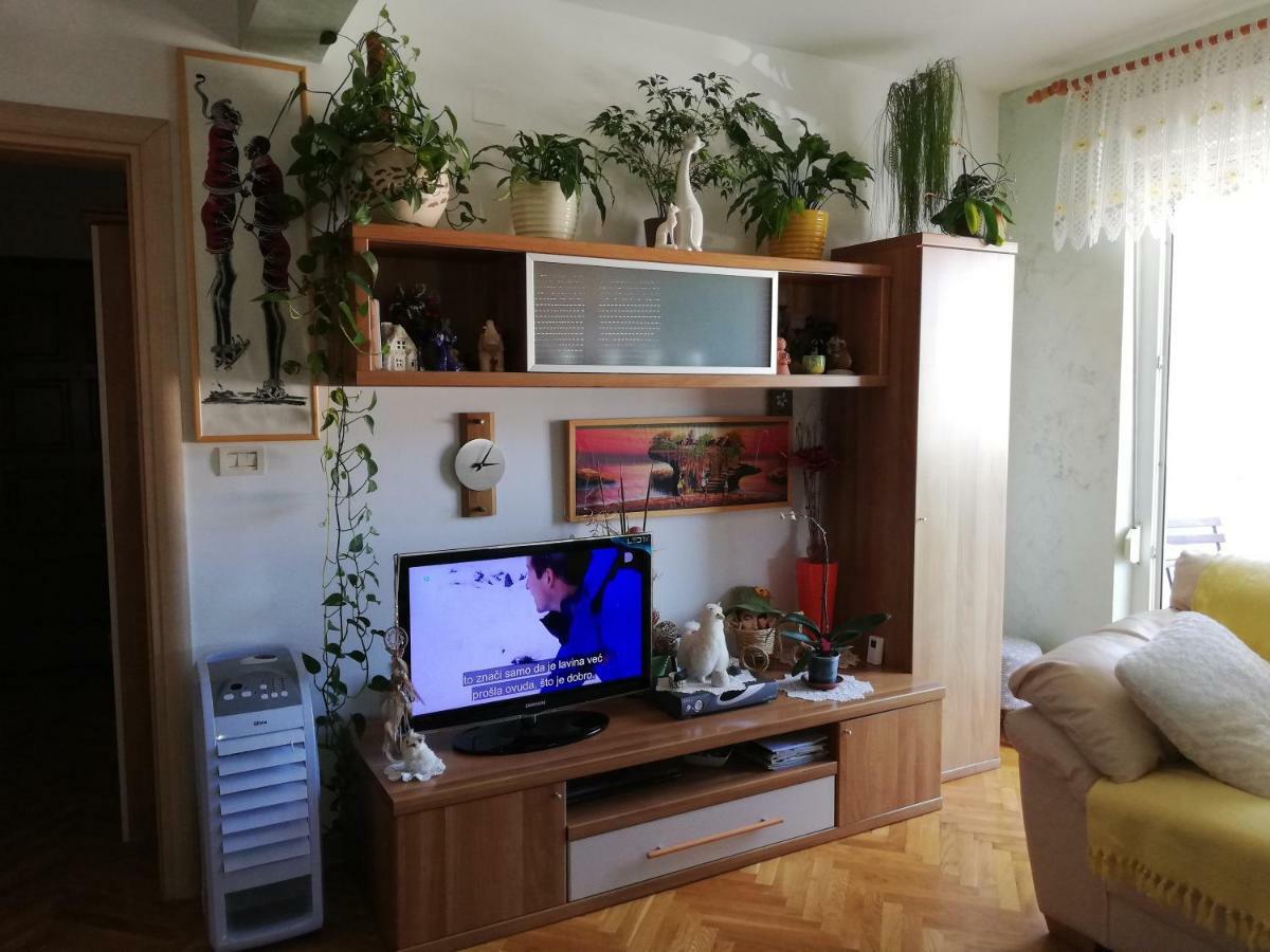 Cuore Di Umago Exteriér fotografie